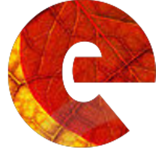 eStomi Technologies - ITSM and BSM Consulting